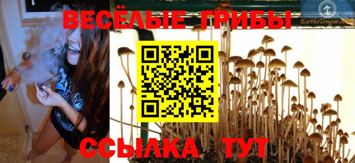 Псилоцибиновые грибы ЛСД Воскресенск