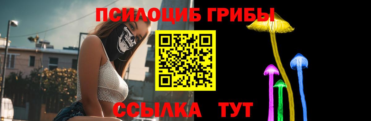 Воскресенск  купить наркоту  Галлюциногенные грибы Magic Shrooms  Вход с VPN  Галлюциногенные грибы Psilocybine cubensis 